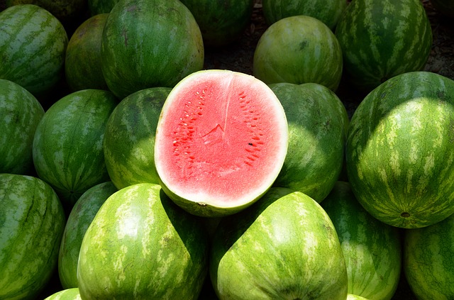 vodní melouny