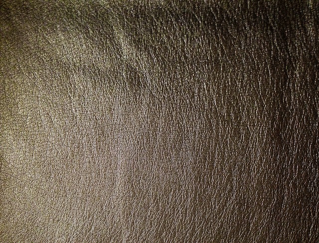 textura kůže